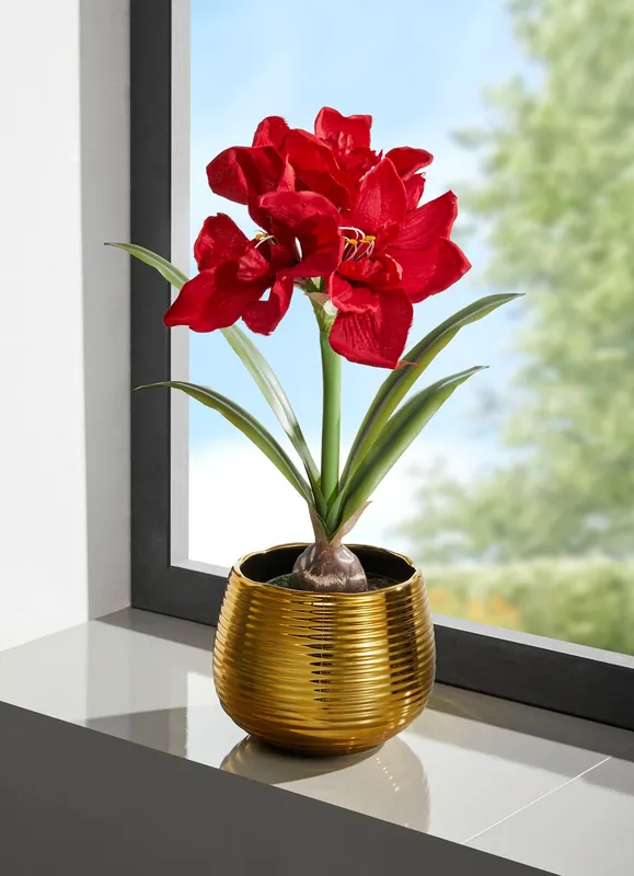 Amaryllis-Gesteck in goldenem Topf Echt