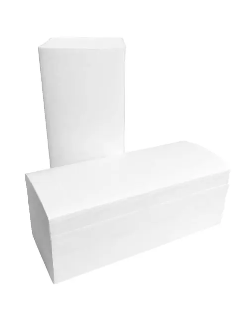 Top-Preis Handtuchpapier - Z-Fold - 2-lagig - 21 x 21,5 CM - 20 Stück - 250 Blatt - G-Line