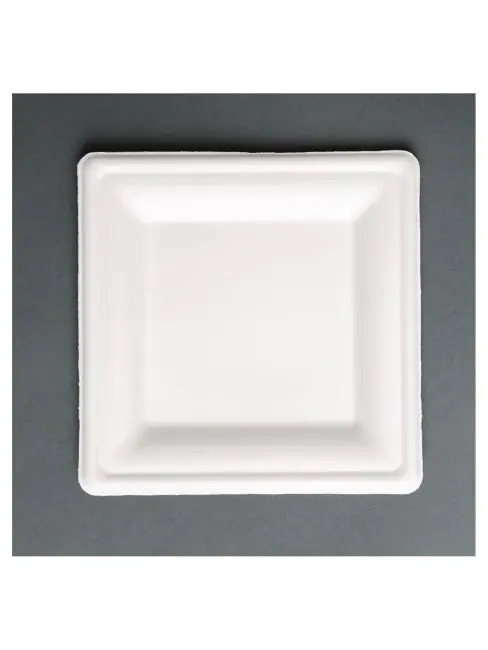 Einwegteller - 50 Stück - H 1,5 x 20,4 cm - Fiesta Green - FC519 Schnäppchen