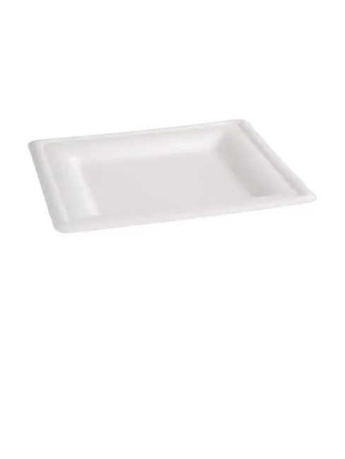 Einwegteller - 50 Stück - H 1,4 x 15,9 cm - Fiesta Green - FC518 Rabatt